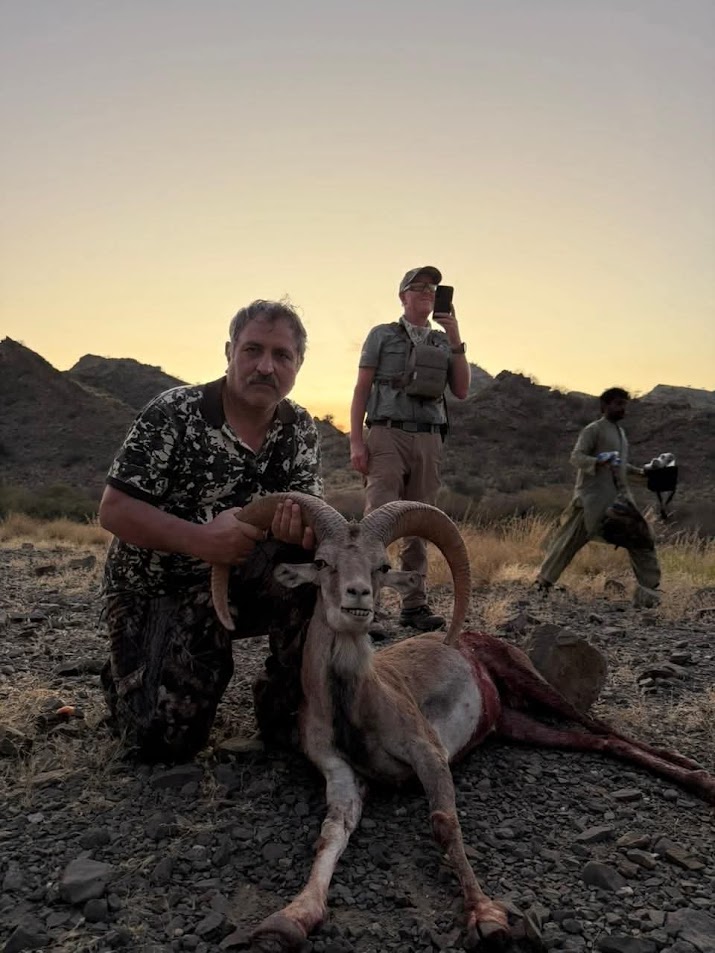 Blanford Urial Trophy Hunt US Client Balochistan