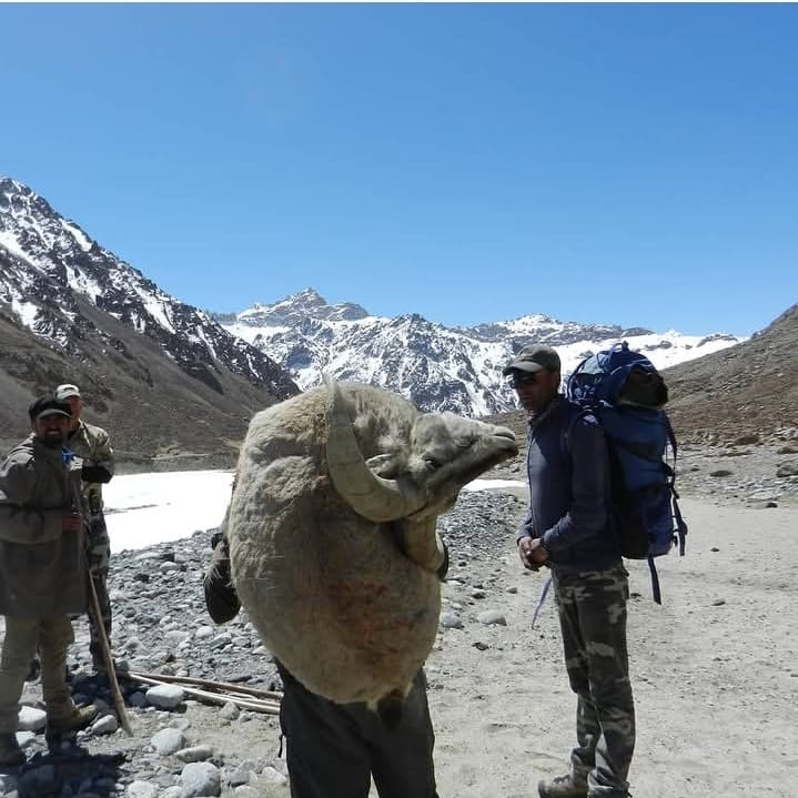 Glacier transport