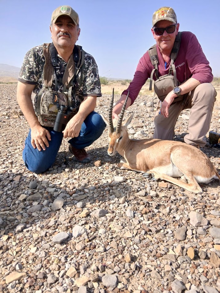 Kennion Chinkara Gazelle Hunt US Client Balochistan