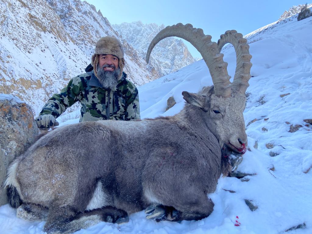 Himalayan Ibex Snowy Hunting Ground