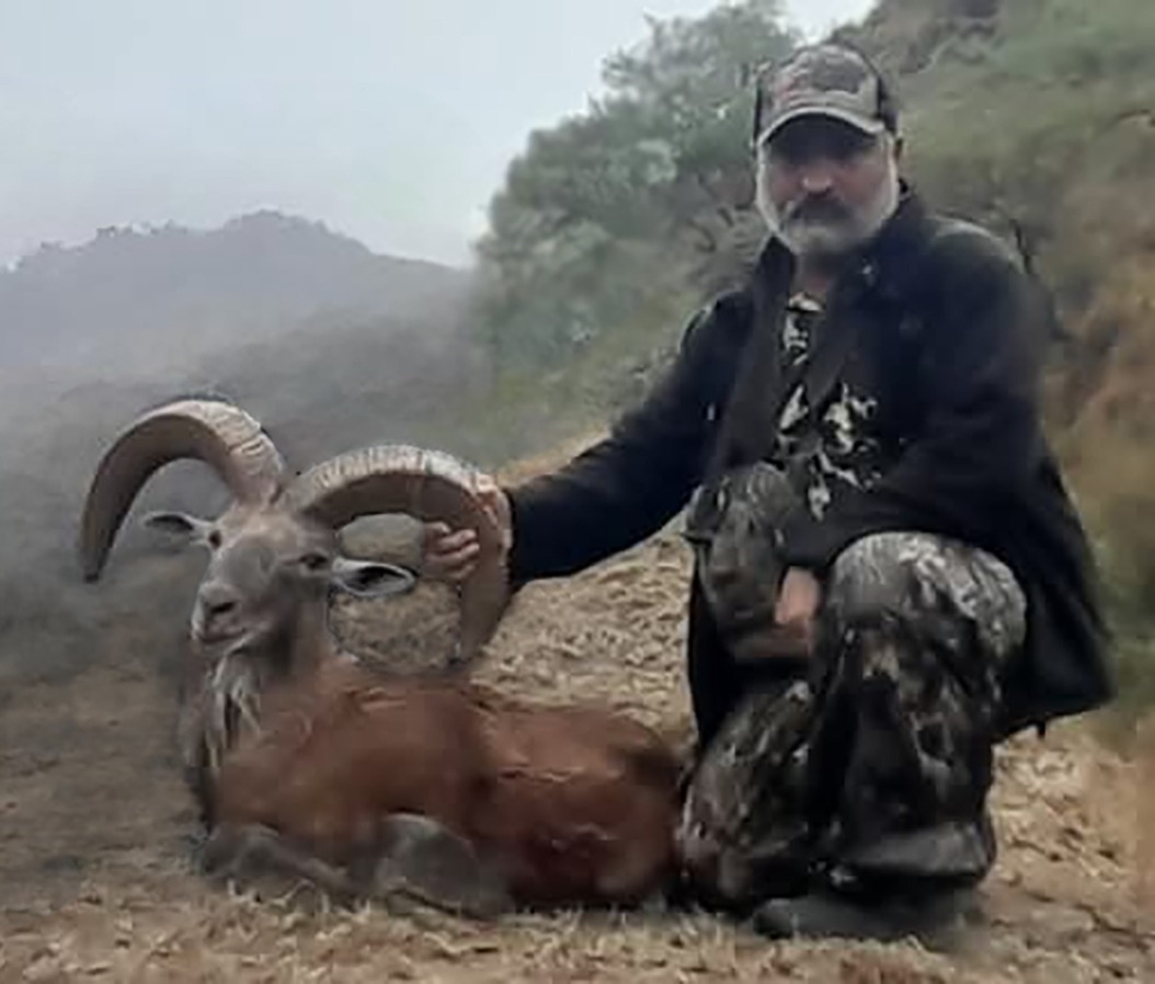 Punjab Urial Hunt