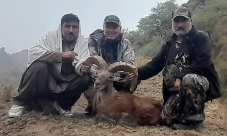 Punjab Urial Scouting Range Pakistan