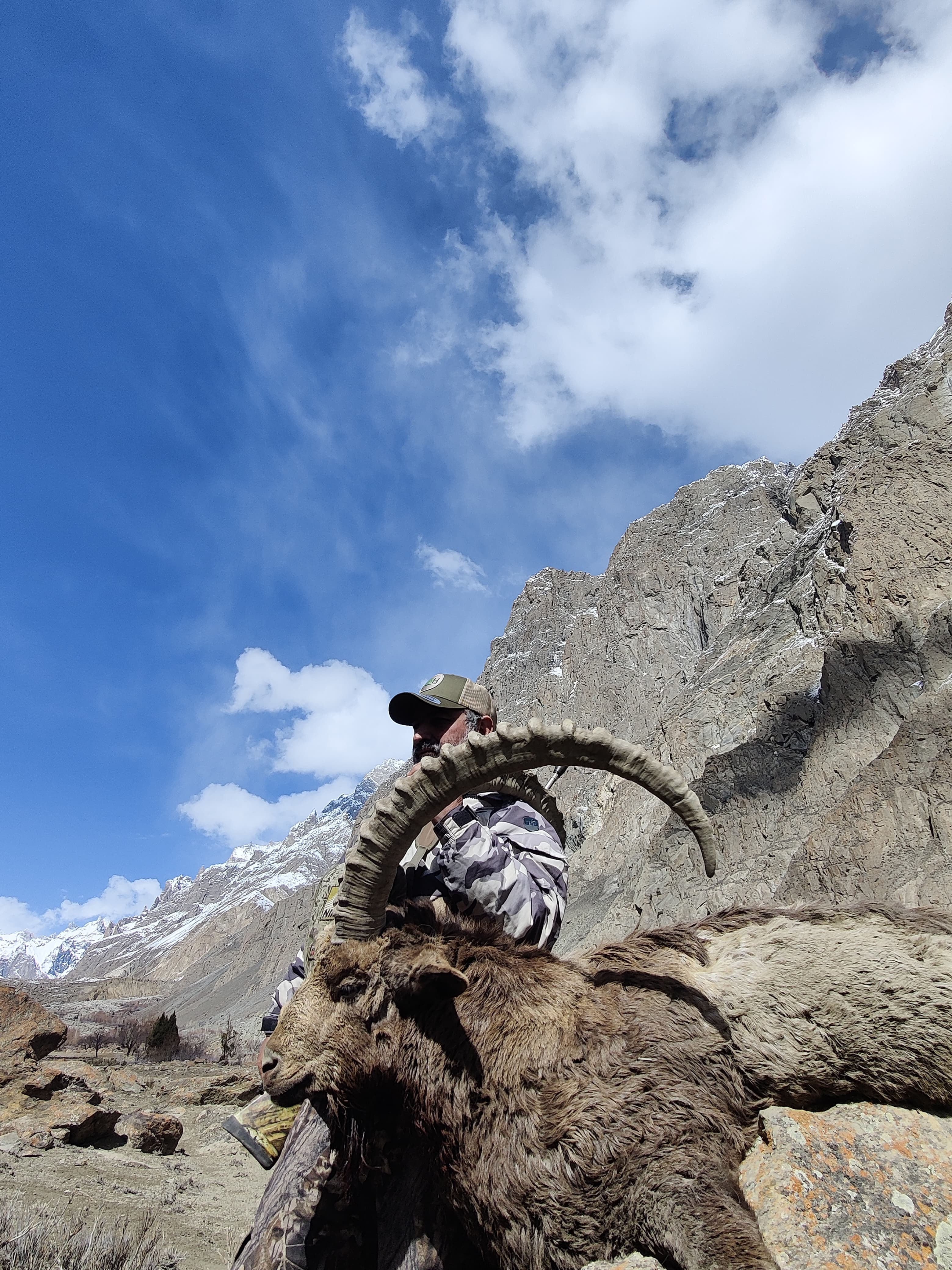 Himalayan Ibex Hunt